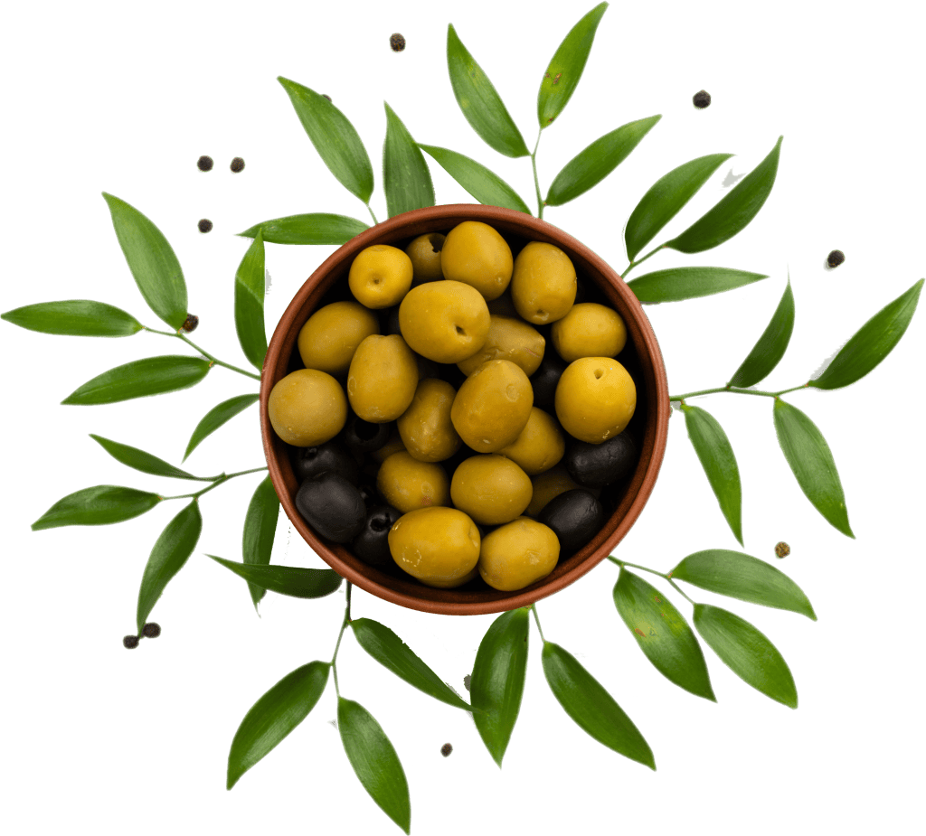 Olives in a terracotta bowl with green leaves and black peppercorns, representing Greek cuisine.